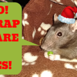 Top 5 Craptastic Christmas Classics